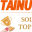 tainuosolar.com